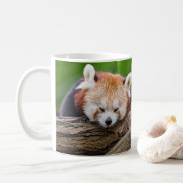 Schläfriger roter Panda Kaffeetasse