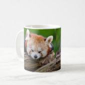 Schläfriger roter Panda Kaffeetasse (Vorderseite Links)