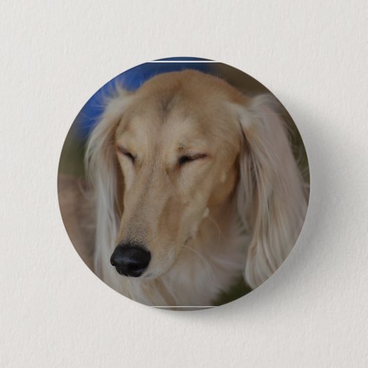 Schläfriger Saluki Hund Button (Vorderseite)