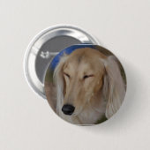 Schläfriger Saluki Hund Button (Vorne & Hinten)