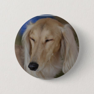Schläfriger Saluki Hund Button