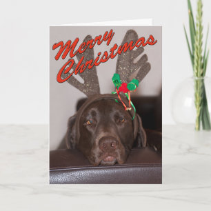 Schläfriger Weihnachtslabrador mit festlichen Gewe Feiertagskarte