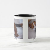 Schläfriges Basset Hound Tasse (Zentrum)
