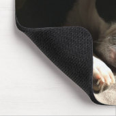 Schläfriges Boston Mousepad (Ecke)