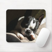 Schläfriges Boston Mousepad (Mit Mouse)