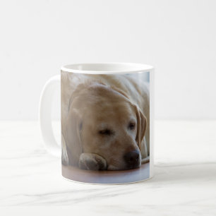 Schläfriges gelbes Labrador retriever Kaffeetasse