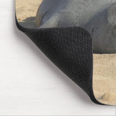 Schläfriges hawaiisches Mönch-Siegel Mousepad (Ecke)