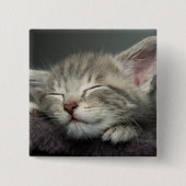 Schläfriges Kätzchen Button (Vorderseite)