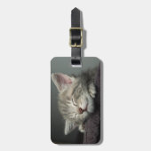 Schläfriges Kätzchen Gepäckanhänger (Vorderseite vertikal)