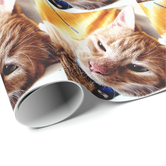 Schläfriges Kätzchen Geschenkpapier (Rolleneckpunkt)