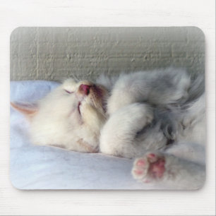 Schläfriges Kätzchen Mousepad