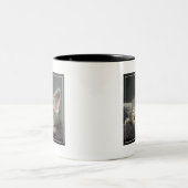 Schläfriges Kätzchen Zweifarbige Tasse (Mittel)