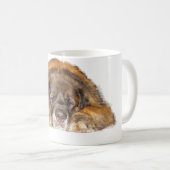 Schläfriges Leonberger Kaffeetasse (VorderseiteRechts)