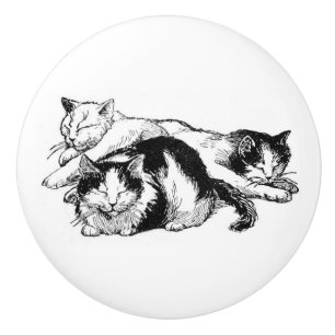 Schläfriges Schwarzweiss-Kätzchen der Katzen Keramikknauf