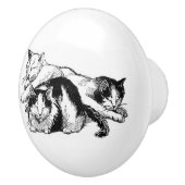 Schläfriges Schwarzweiss-Kätzchen der Katzen | Keramikknauf (Rechts)