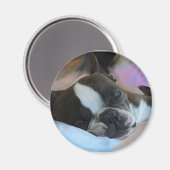 Schläfrigkeit Magnet (Vorderseite/Rückseite)