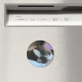 Schläfrigkeit Magnet (In Situ (Geschirrspüler))