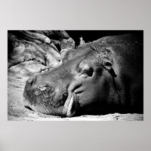 Schläfrigkeit Poster (Vorne)