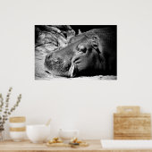 Schläfrigkeit Poster (Küche)