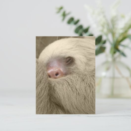 Schläfrigkeit Postkarte (Stehend Vorderseite)