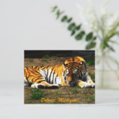 Schläfrigkeit Postkarte (Stehend Vorderseite)