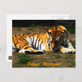 Schläfrigkeit Postkarte (Vorne/Hinten)