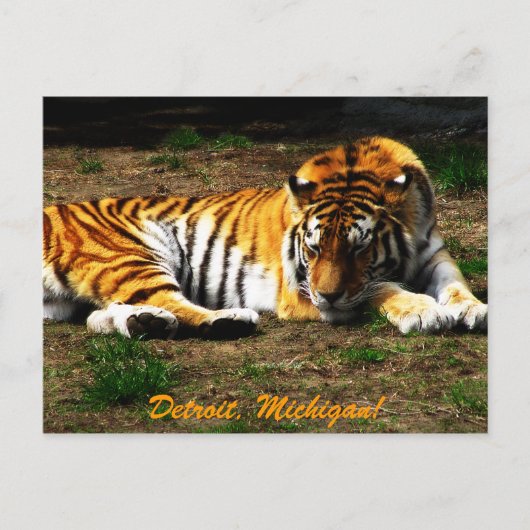 Schläfrigkeit Postkarte (Vorderseite)