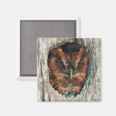 Schlafschale in einem Baum Magnet (Vorderseite/Rückseite)