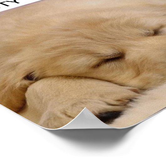 SCHLAFSCHÖNHEIT POSTER (Ecke)