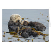 Schlafsee Otter Mama und Nachwuchs (Vorderseite (Horizontal))