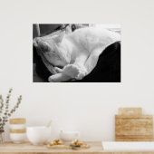 Schlafsqueak Poster (Küche)