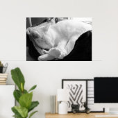 Schlafsqueak Poster (Heimbüro)