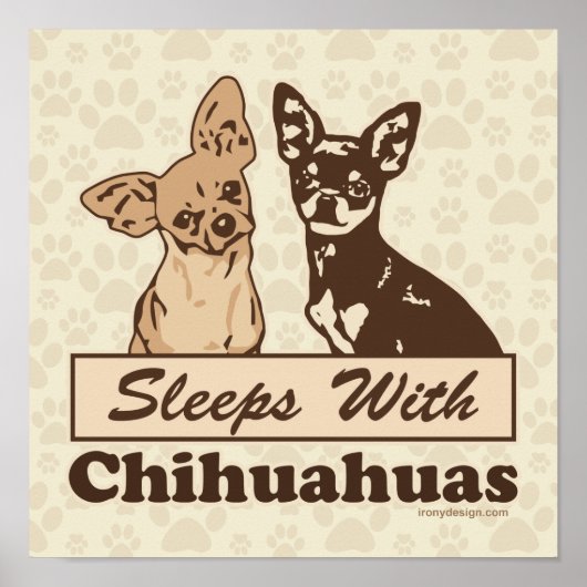 Schläft mit Chihuahuas Hund Poster (Vorne)