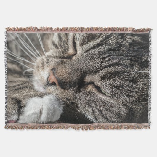 SchlafTabby Decke (Vorderseite)