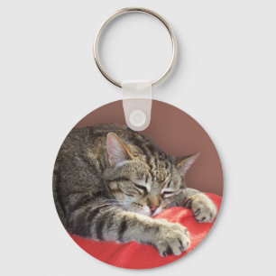 SchlafTabby Schlüsselanhänger
