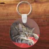 SchlafTabby Schlüsselanhänger (Vorderseite)