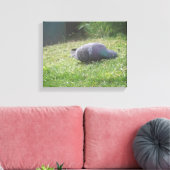 Schlaftaube Canvas Print Leinwanddruck (Insitu (Wohnzimmer))