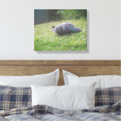 Schlaftaube Canvas Print Leinwanddruck (Insitu (Schlafzimmer))