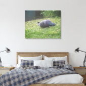 Schlaftaube Canvas Print Leinwanddruck (Insitu (Schlafzimmer))