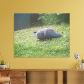 Schlaftaube Canvas Print Leinwanddruck (Insitu (Wohnzimmer))