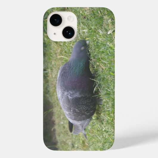 Schlaftaube Case-Mate iPhone Hülle (Rückseite)