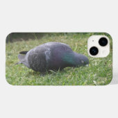 Schlaftaube Case-Mate iPhone Hülle (Rückseite (Horizontal))
