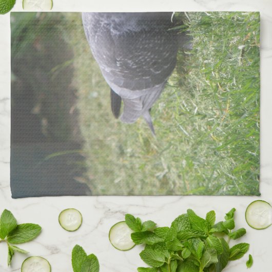 Schlaftaube Küchentuch (Gefaltet)