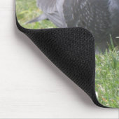 Schlaftaube Mousepad (Ecke)