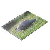 Schlaftaube-Notebook Notizblock (Linke Seite)