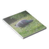 Schlaftaube Notepad Notizblock (angewinkelt)