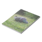 Schlaftaube Notepad Notizblock (Rotiert)