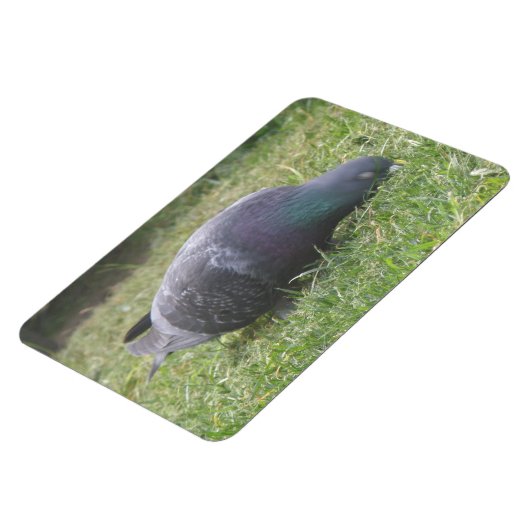 Schlaftaube Premium Magnet (Linke Seite)