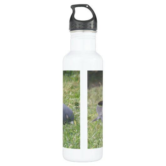 Schlaftaube Trinkflasche (Rückseite)