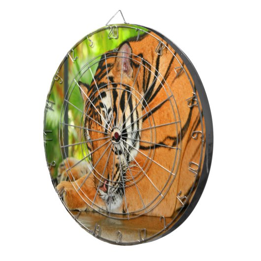 Schlaftiger Dartscheibe (Vorderseite rechts)